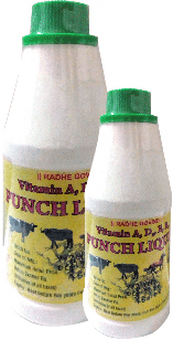Punch Liquid