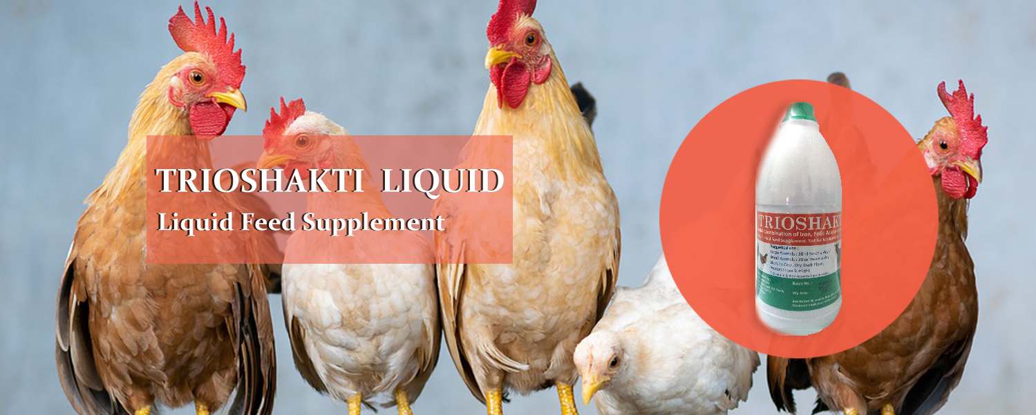 Veterinary Feed Supplements