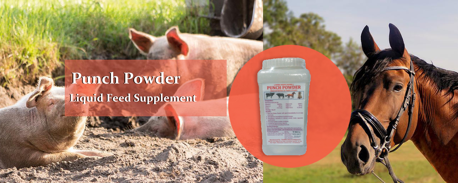 Veterinary Feed Supplements