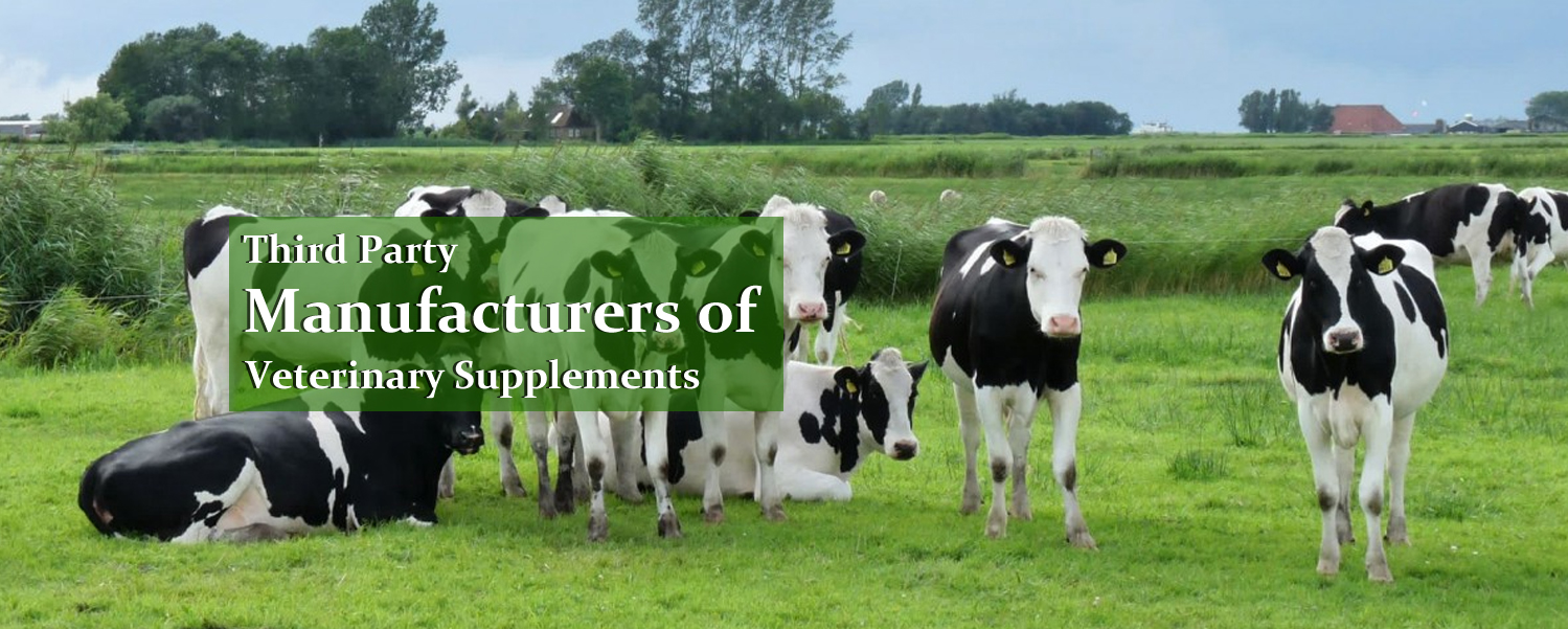 Veterinary Feed Supplements